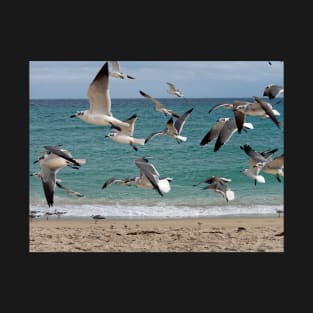 Birds in Flight Over Beach T-Shirt