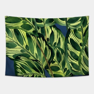 Calathea plant illustration Tapestry