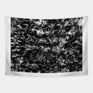 Black and White Flower, Photography Tapestry