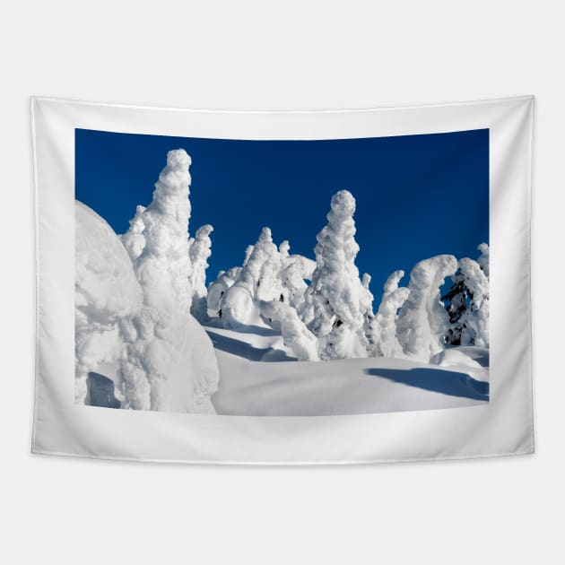 Mt Washington "Snow Ghosts" Tapestry by charlesk