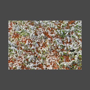 Background of foliage with snow T-Shirt