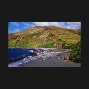 Macquarie Island Beach T-Shirt