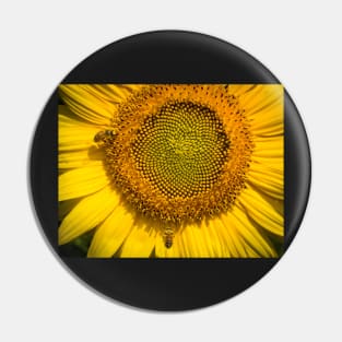 Sunflower With Bees 2 Pin
