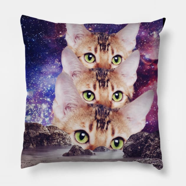 Star gazers cats Pillow by reesea