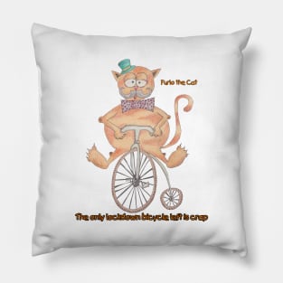 Furlo the Cat has the last bike this lock down Pillow