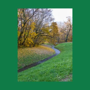 Forest with falling yellow leaves in autumn with water T-Shirt