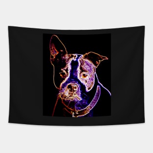 Playful dog Tapestry