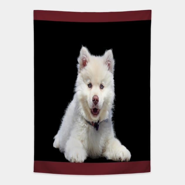 White dog Tapestry by KA&KO