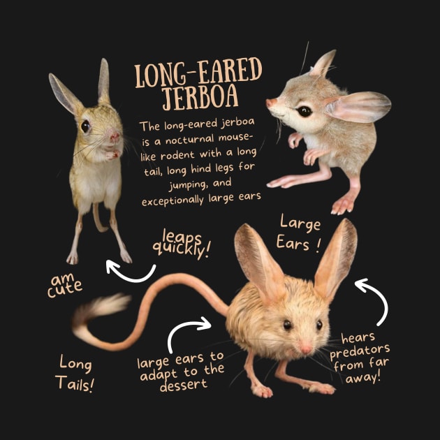 Animal Facts - Long-eared Jerboa by Animal Facts and Trivias