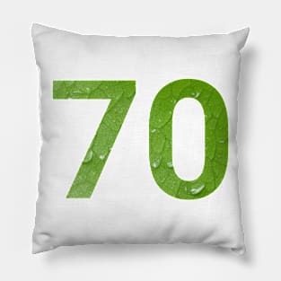 70 celebration day with nature Pillow