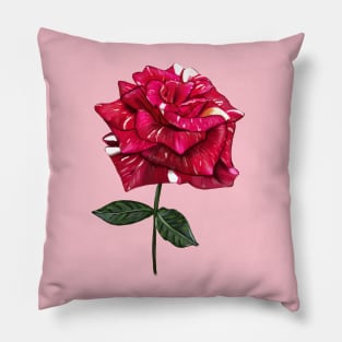 Hand drawn rose Pillow