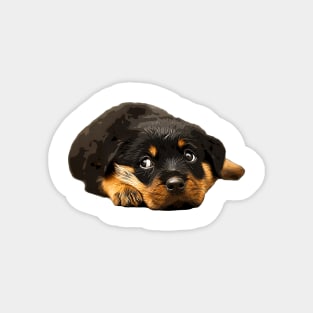 Rottweiler Cutest there is! Magnet