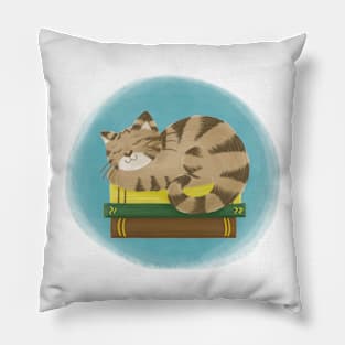 Cute cat sleeping on books Pillow