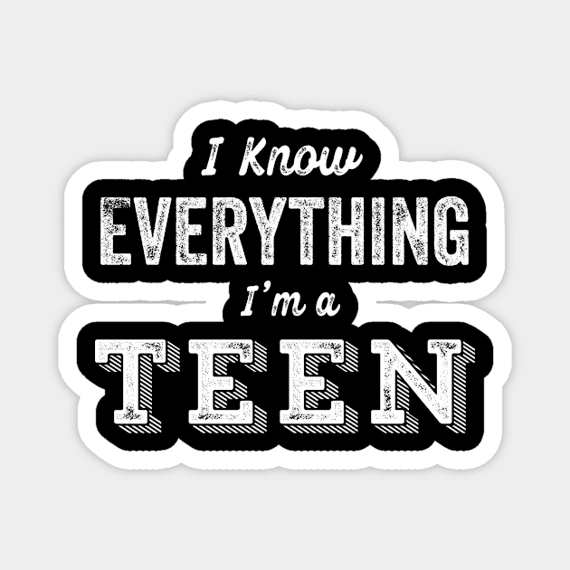 Funny Teenager 13th Birthday Know Everything Sarcastic Gift Magnet by HuntTreasures