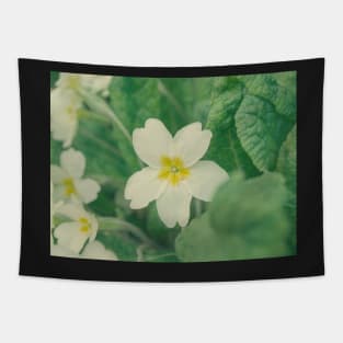 Primrose Tapestry