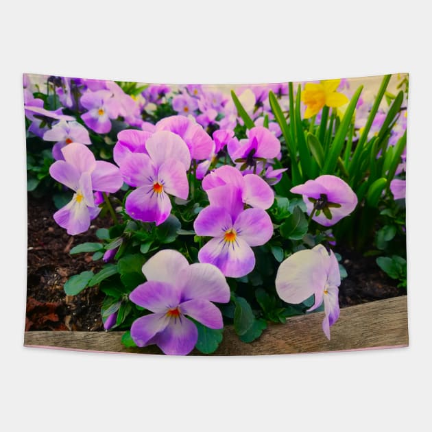 Violets Blossom In The Spring Tapestry by colorful444