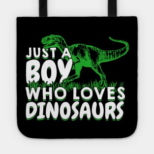 Just A Boy Who Loves Dinosaurs Tote