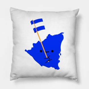 Nicoya Pillow