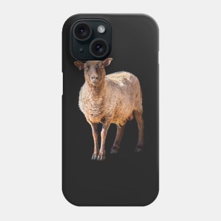 Woolly Sheep at the Farm Sticker Phone Case