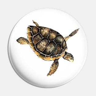 Sea turtles Pin