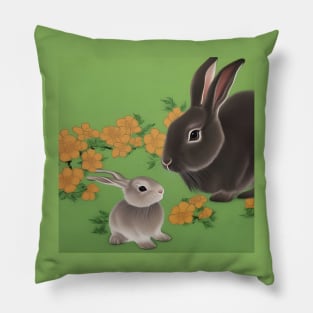 Rabbit and Kit Pillow