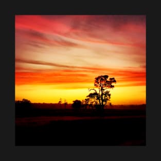 Sunset at Jarvis Estate Vineyard, Margaret River, WA T-Shirt