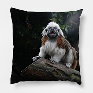 Cotton Top Tamarin Pillow