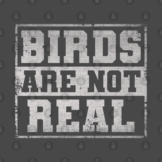 Birds Are Not Real Conspiracy Theory by ARMU66