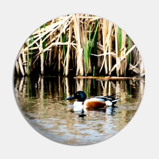 Duck on Pond Pin