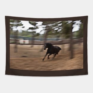 Running Black Beauty Tapestry