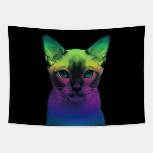 RAINBOW KITTY Tapestry