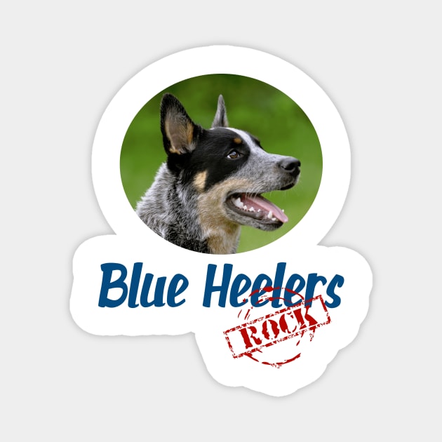 Blue Heelers Rock! Magnet by Naves