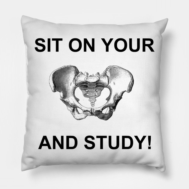 study buddy pillow