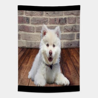 White dog Tapestry