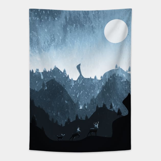 Winter Night Tapestry by Samcole18