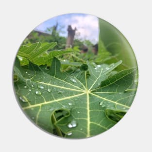 Leaf Buds In The Morning Pin