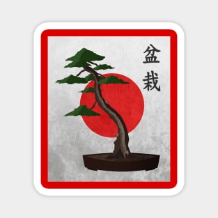 Bonsai Magnet