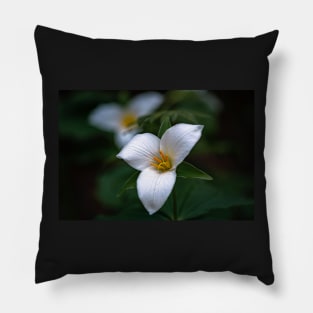 Group of trillium flowers Pillow