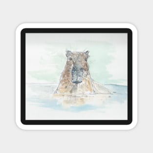 Wading Capybara Magnet