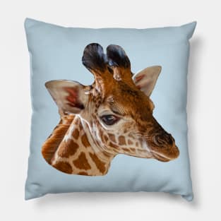 Young Giraffe Pillow