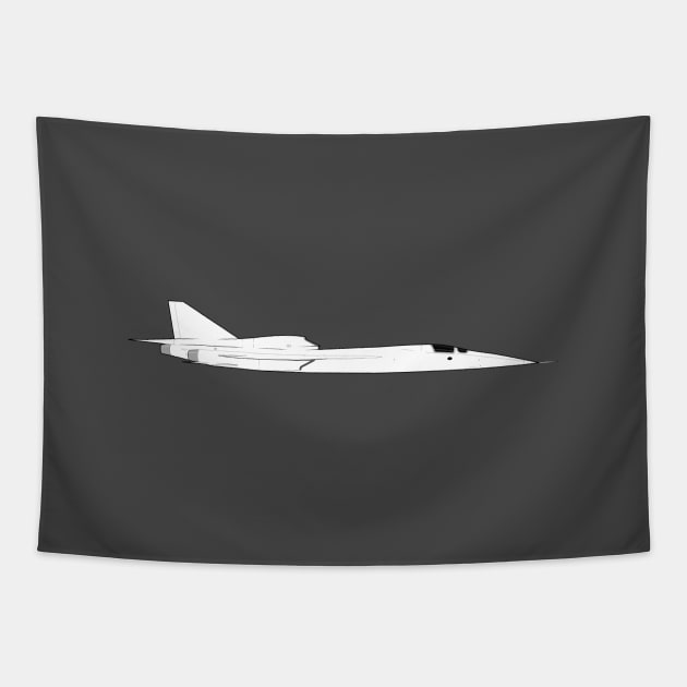 Boom XB-1 - Supersonic Demonstrator Aircraft Tapestry by Vidision Avgeek