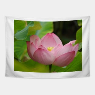 Lotus Flower Tapestry