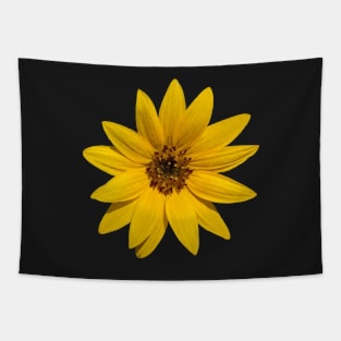 Filtered Sunflower Photographic Image Tapestry