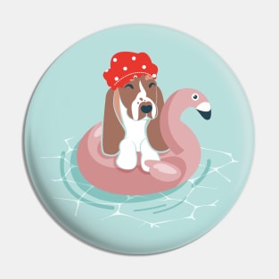 Summer pool pawty // aqua background basset hound dog breed in vacation playing on swimming pool float Pin