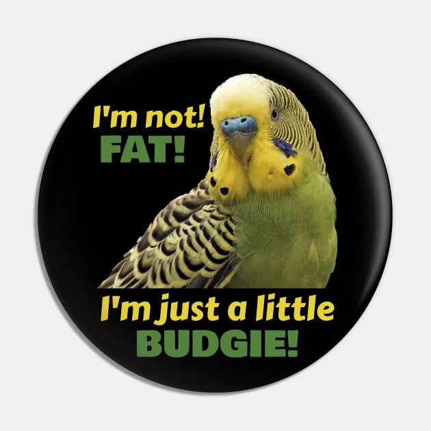 Fat Budgie Parakeet Parrot Pin by Einstein Parrot