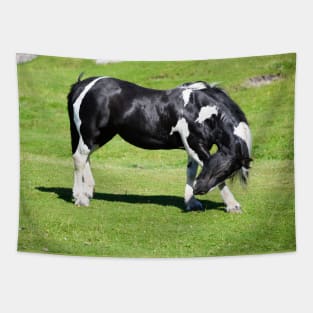 Horse / Swiss Artwork Photography Tapestry