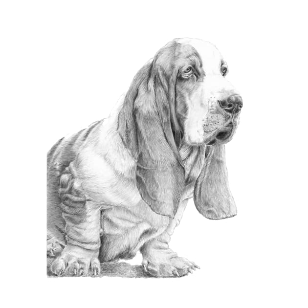 Basset hound by doggyshop