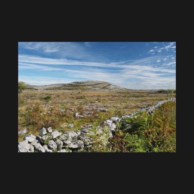 Mullaghmore, The Burren, Ireland by honeythief