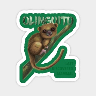 Mammal - Olinguito Magnet