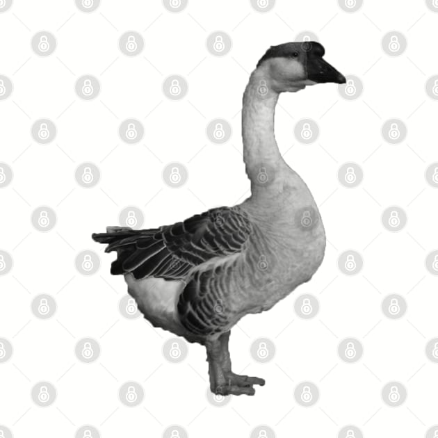 Goose Animal Print Graphic Image by JakeRhodes